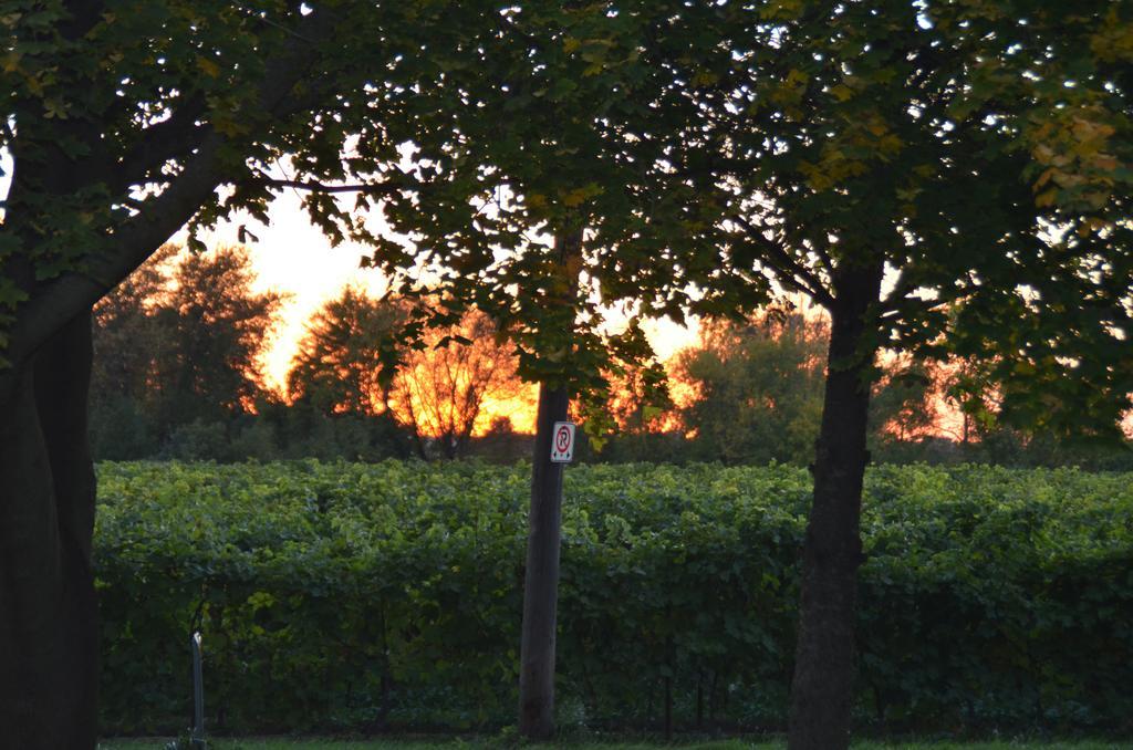 Old Town Country Landing Bed & Breakfast Niagara-on-the-Lake Ngoại thất bức ảnh